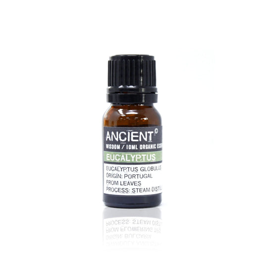 Eukalyptus Bio Ätherisches Öl 10ml