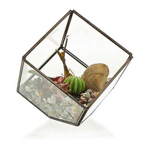 Glas Terrarium Würfel Ecke Mit Eisenrahmen Für Sukkulenten Und Luftpflanzen