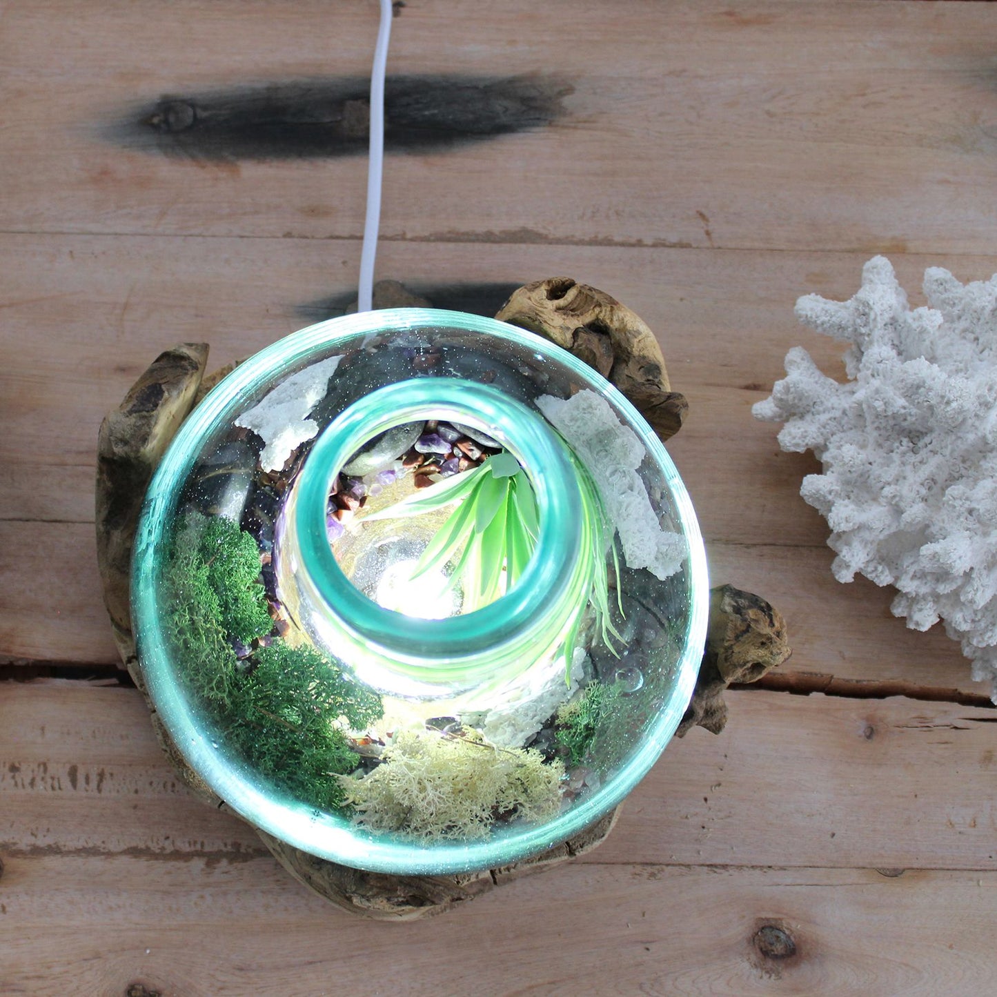 Molten Glass Großer Fisch Tank 32cm